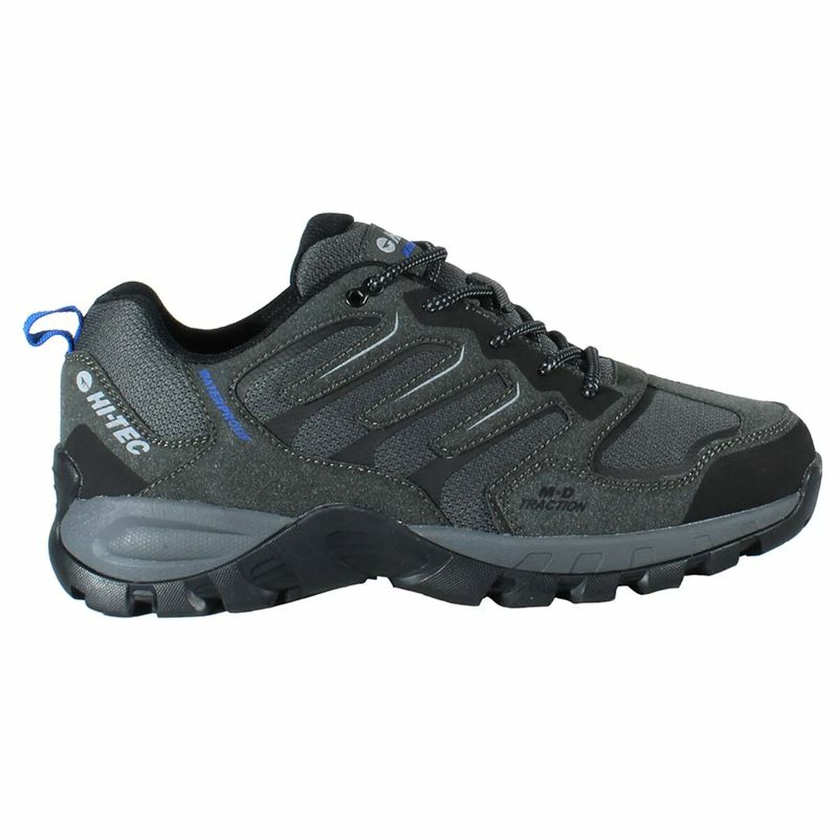 Walking Shoes for Men Hi-Tec Cervus Low WP 42